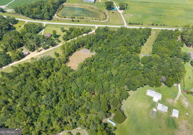 5th image of 00 Buck Creek Rd, Sylvania, GA 30467 | MLS# 10830313