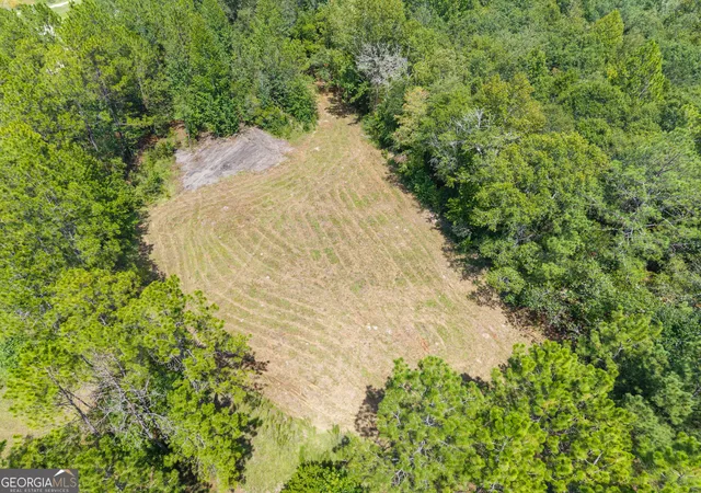 9th image of 00 Buck Creek Rd, Sylvania, GA 30467 | MLS# 10830313