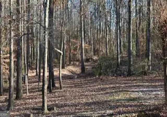 1st image of 0 Hwy 124, Hoschton, GA 30548 | MLS# 10587657