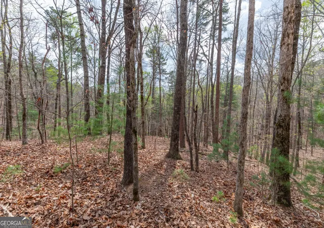 Photo 2 of Land for sale at Lot 6b Glenridge Way, Ellijay, GA 30540 | MLS# 10726929 | Listing updated on 2026-10-30