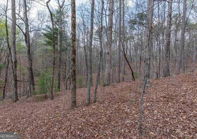 Photo 3 of Land for sale at Lot 6b Glenridge Way, Ellijay, GA 30540 | MLS# 10726929 | Listing updated on 2026-10-30