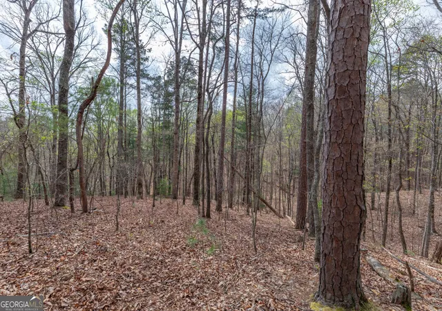 Photo 4 of Land for sale at Lot 6b Glenridge Way, Ellijay, GA 30540 | MLS# 10726929 | Listing updated on 2026-10-30