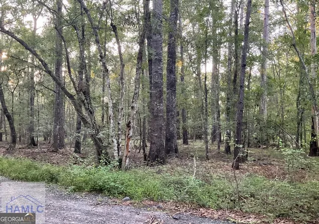 Photo 1 of Land for sale at 0 Cherry Ln, Hinesville, GA 31313 | MLS# 10810720 | Listing updated on 2026-08-05