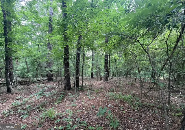 Homes for sale in Jeffersonville, GA | 540 Allgood Rd, Jeffersonville, GA 31044 | MLS# 10785314