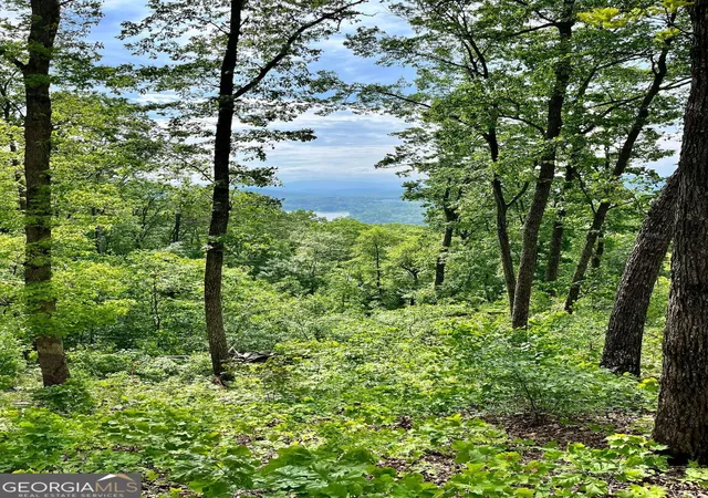 2nd image of Lot 103 Highland Park, Blairsville, GA 30512 | MLS# 10514096