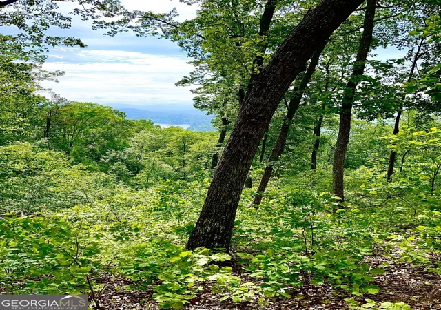 3rd image of Lot 103 Highland Park, Blairsville, GA 30512 | MLS# 10514096