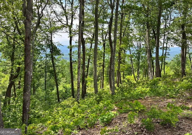 4th image of Lot 103 Highland Park, Blairsville, GA 30512 | MLS# 10514096