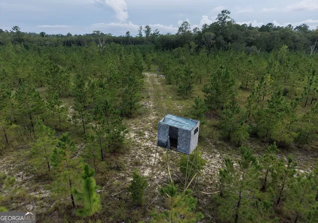 Photo 3 of Land for sale at 0 South River Road, Waycross, GA 31503 | MLS# 10835789 | Listing updated on 2026-09-12