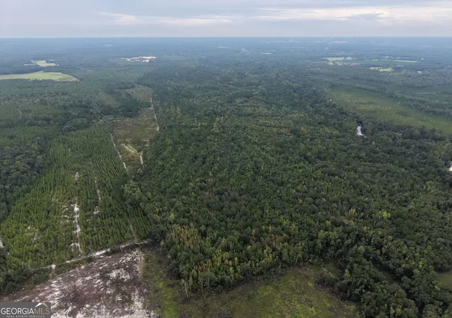 Photo 4 of Land for sale at 0 South River Road, Waycross, GA 31503 | MLS# 10835789 | Listing updated on 2026-09-12