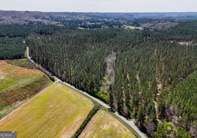 14th image of 403 Acres Youngs Farm Road, Cedartown, GA 30125 | MLS# 10778629
