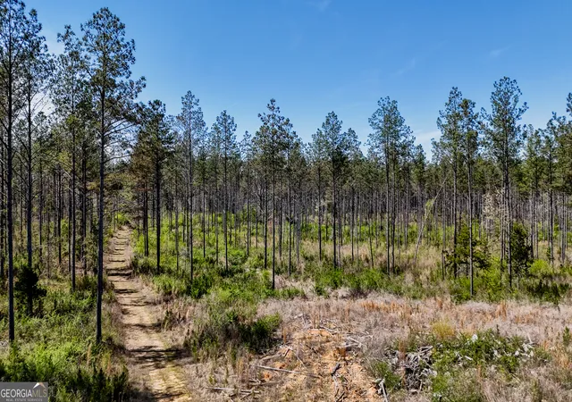 2nd image of 403 Acres Youngs Farm Road, Cedartown, GA 30125 | MLS# 10778629