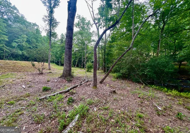 27th image of 193 Opossum Rd, Blairsville, GA 30512 | MLS# 10812605