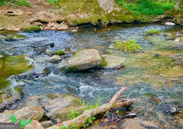 2nd image of 193 Opossum Rd, Blairsville, GA 30512 | MLS# 10812605