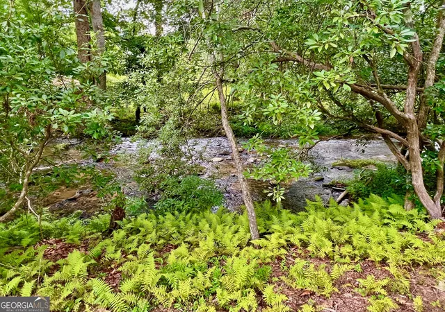 Photo 3 of Land for sale at 193 Opossum Rd, Blairsville, GA 30512 | MLS# 10812605 | Listing updated on 2026-08-07