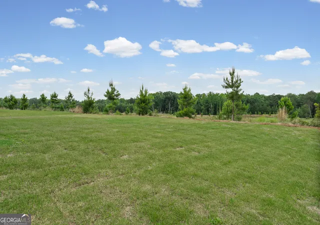 34th image of 137 Kenney Wy, Locust Grove, GA 30248 | MLS# 10819022
