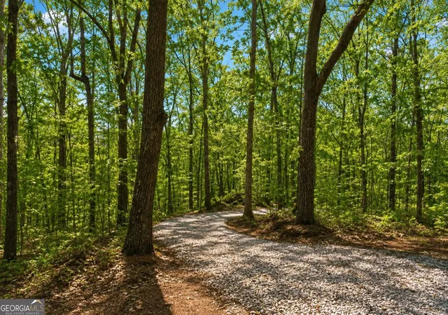 1st image of 0 Davis Rd, Eastanollee, GA 30538 | MLS# 10827803