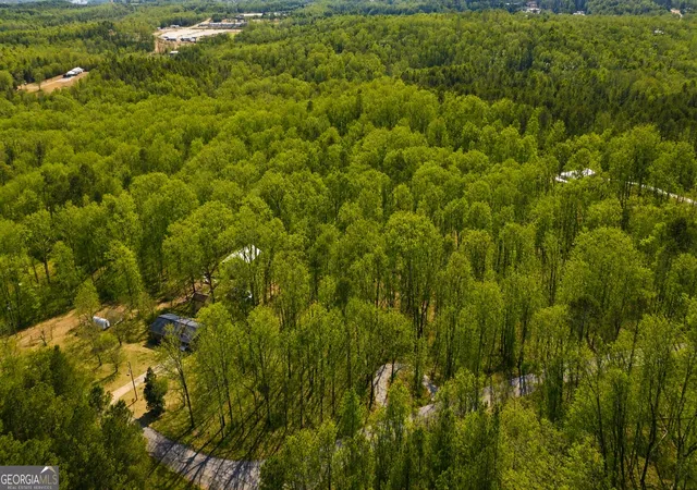 20th image of 0 Davis Rd, Eastanollee, GA 30538 | MLS# 10827803