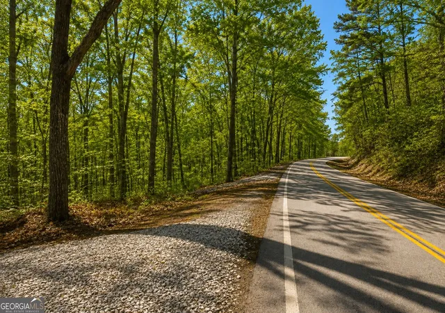 Photo 2 of Land for sale at 0 Davis Rd, Eastanollee, GA 30538 | MLS# 10827803 | Listing updated on 2026-09-01