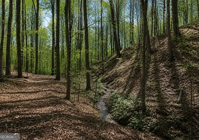 Photo 3 of Land for sale at 0 Davis Rd, Eastanollee, GA 30538 | MLS# 10827803 | Listing updated on 2026-09-01