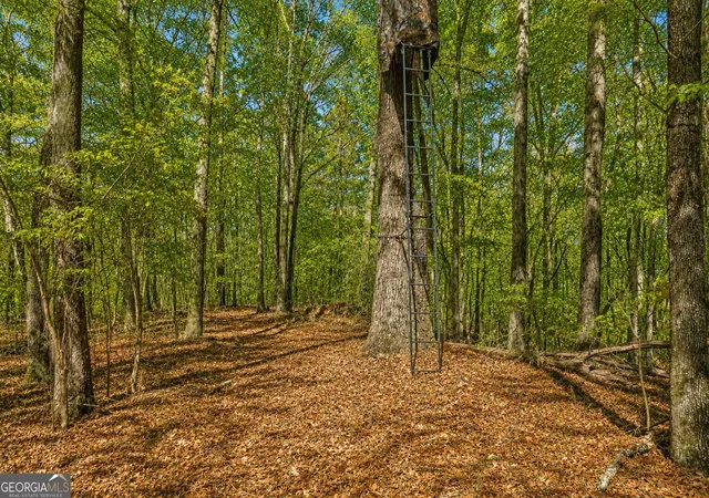 Photo 4 of Land for sale at 0 Davis Rd, Eastanollee, GA 30538 | MLS# 10827803 | Listing updated on 2026-09-01