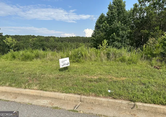 4th image of 0 Green Ter, Newnan, GA 30265 | MLS# 10546475