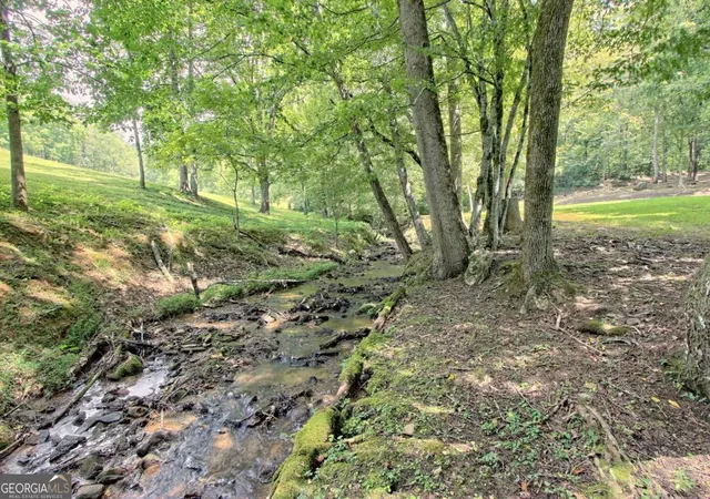 Photo 73 of Single family home for sale at 299 Old Homestead Ln, Hayesville, NC 28904 | MLS# 10813589 | Listing updated on 2026-08-10
