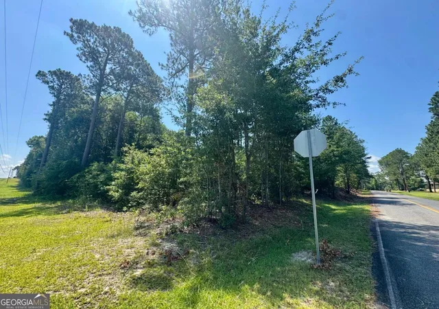 Homes for sale in Poulan, GA | Tract 1 Whiddon Milll Rd, Poulan, GA 31781 | MLS# 10801524