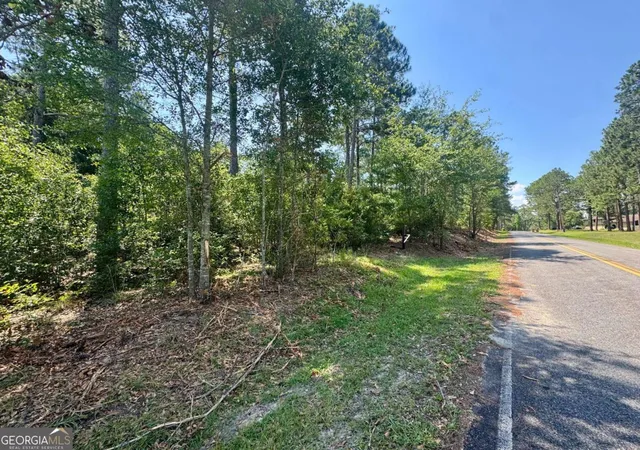 Homes for sale in Poulan, GA | Tract 1 Whiddon Milll Rd, Poulan, GA 31781 | MLS# 10801524