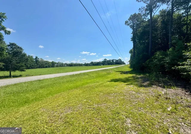 Homes for sale in Poulan, GA | Tract 1 Whiddon Milll Rd, Poulan, GA 31781 | MLS# 10801524