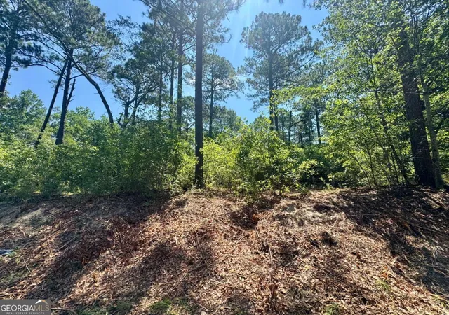 Homes for sale in Poulan, GA | Tract 1 Whiddon Milll Rd, Poulan, GA 31781 | MLS# 10801524