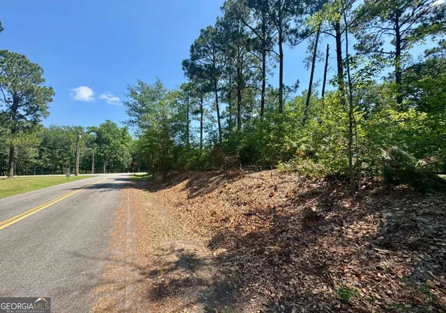 Homes for sale in Poulan, GA | Tract 1 Whiddon Milll Rd, Poulan, GA 31781 | MLS# 10801524