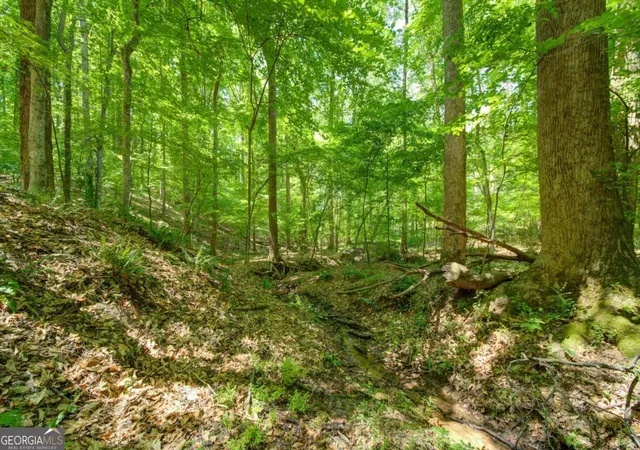 4th image of 1981 Mountain Rd, Alpharetta, GA 30004 | MLS# 10773322