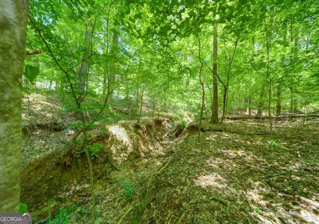 5th image of 1981 Mountain Rd, Alpharetta, GA 30004 | MLS# 10773322