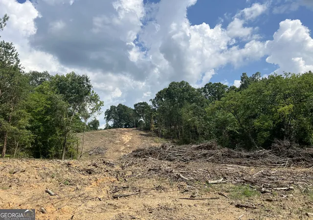 Photo 3 of Land for sale at 2055 Blacks Bluff Rd, Rome, GA 30161 | MLS# 10571691 | Listing updated on 2026-04-12