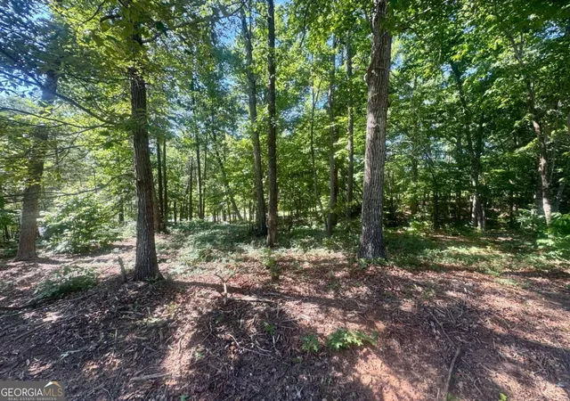 Homes for sale in Cleveland, GA | 0 Teel Mountain Dr, Cleveland, GA 30528 | MLS# 10796047