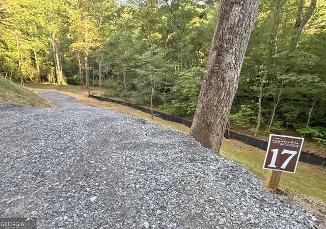 2nd image of Lot 17 Mt Springer Rd, Ellijay, GA 30540 | MLS# 10806824