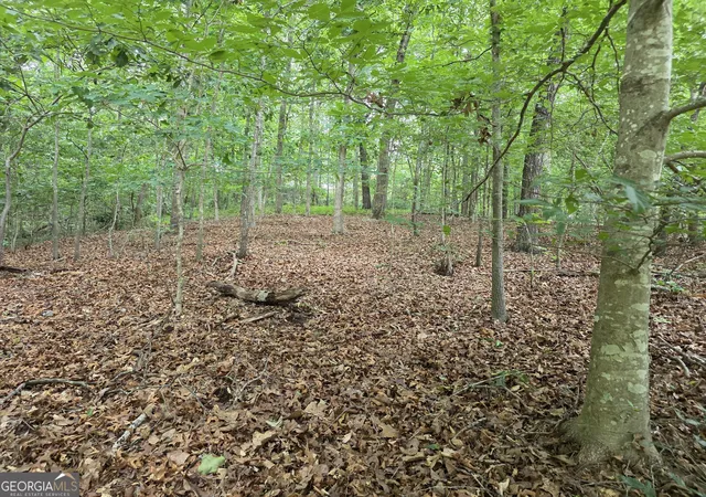 1st image of Lot 270 Arrow Ln, Lavonia, GA 30553 | MLS# 10777099