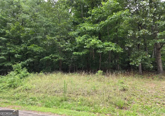 2nd image of Lot 270 Arrow Ln, Lavonia, GA 30553 | MLS# 10777099