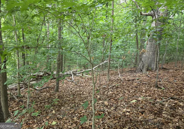 4th image of Lot 270 Arrow Ln, Lavonia, GA 30553 | MLS# 10777099