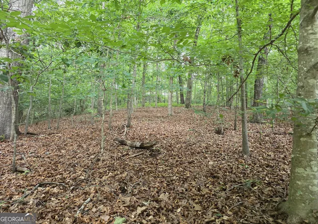 5th image of Lot 270 Arrow Ln, Lavonia, GA 30553 | MLS# 10777099