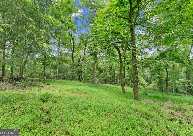 Photo 2 of Land for sale at Lot 35 Lakemont Trl, Demorest, GA 30535 | MLS# 10782938 | Listing updated on 2026-07-02