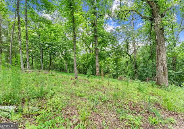 Photo 3 of Land for sale at Lot 35 Lakemont Trl, Demorest, GA 30535 | MLS# 10782938 | Listing updated on 2026-07-02