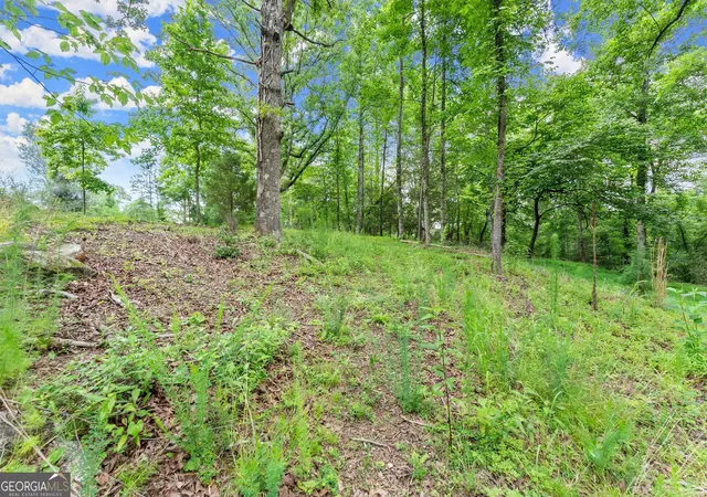 Photo 3 of Land for sale at Lot 35 Lakemont Trl, Demorest, GA 30535 | MLS# 10782938 | Listing updated on 2026-10-09
