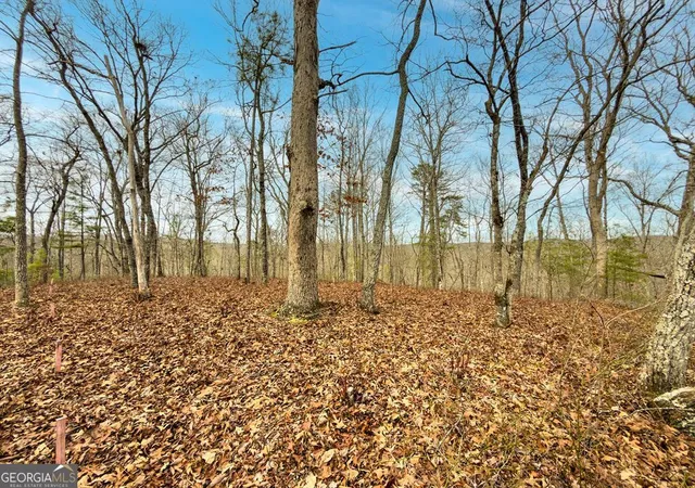 Photo 1 of Land for sale at Lts 156 & 157 Harris Crk Dr, Ellijay, GA 30540 | MLS# 10684337 | Listing updated on 2026-10-18
