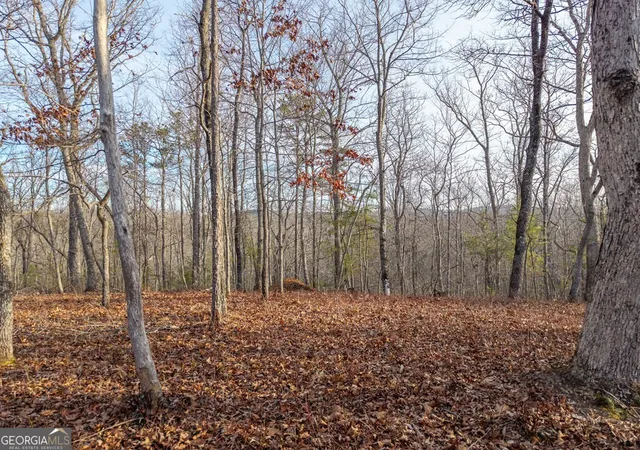 Photo 3 of Land for sale at Lts 156 & 157 Harris Crk Dr, Ellijay, GA 30540 | MLS# 10684337 | Listing updated on 2026-10-18