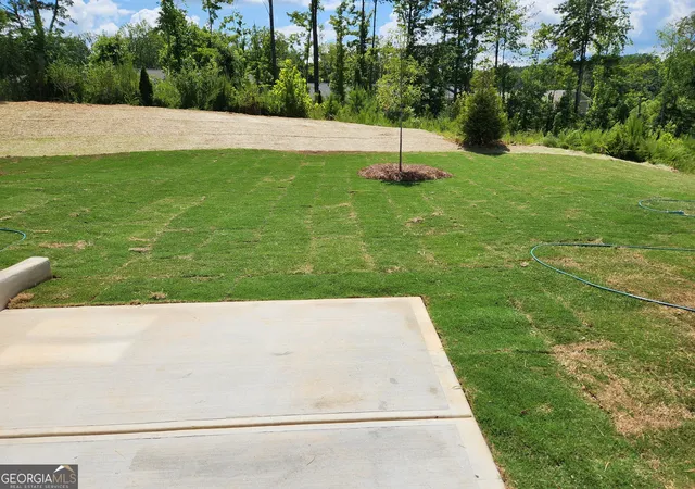 5th image of 48 Umber Ln #LOT 18, Newnan, GA 30263 | MLS# 10796294