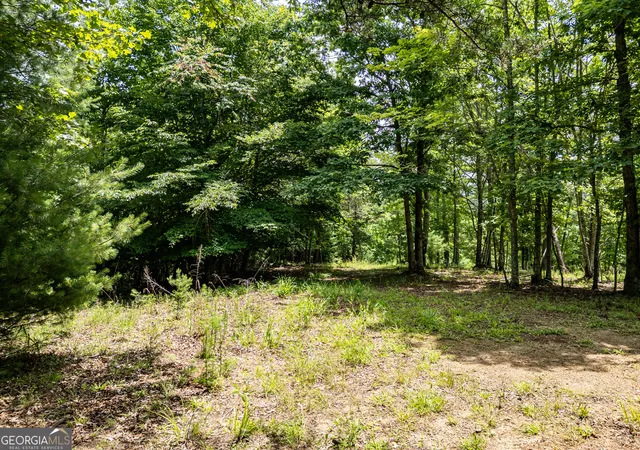 Homes for sale in Brasstown, NC | Lt 2 Stormy Ridge, Brasstown, NC 28902 | MLS# 10797399