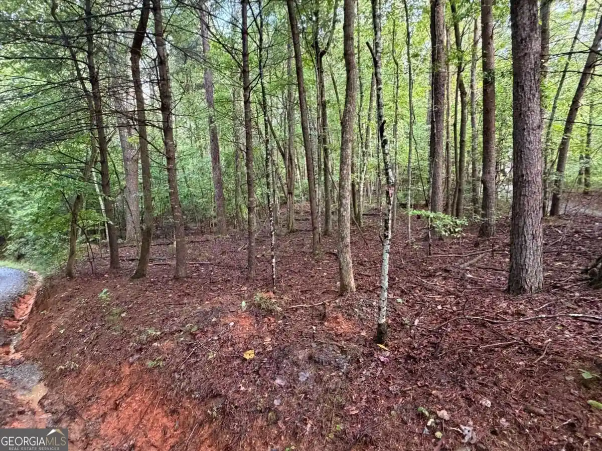 Photo 1 of Land for sale at 0 Peach Ln, Ellijay, GA 30536 | MLS# 10866698 | Listing updated on 2026-10-17
