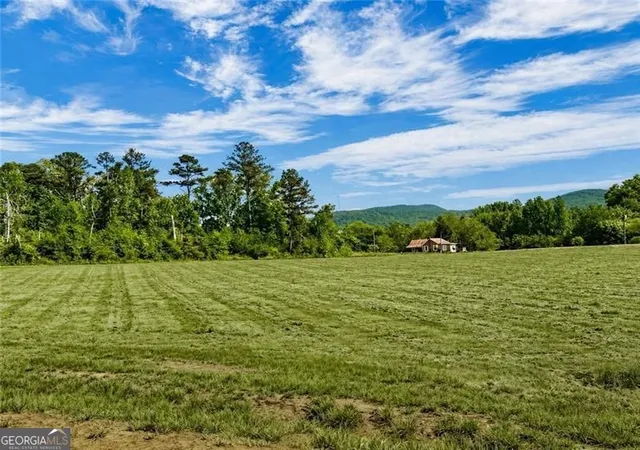 1st image of 118 Palisade Dr, Rydal, GA 30171 | MLS# 10815082