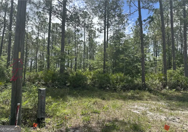 Homes for sale in Folkston, GA | 57 Lakeview Dr, Folkston, GA 31537 | MLS# 10779875